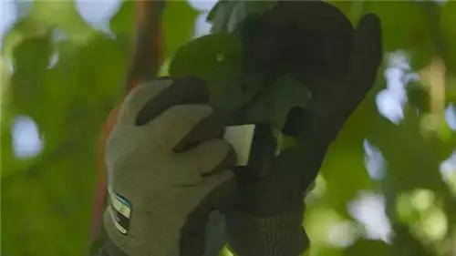 惟有這些抓人眼球的室外廣告才配叫創(chuàng)意！廣告主也滿意10