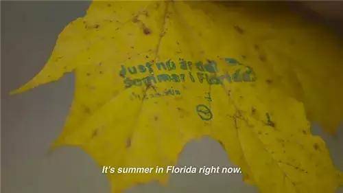 唯有這些抓人眼球的室外廣告才配叫創(chuàng)意！標(biāo)識主也滿意11