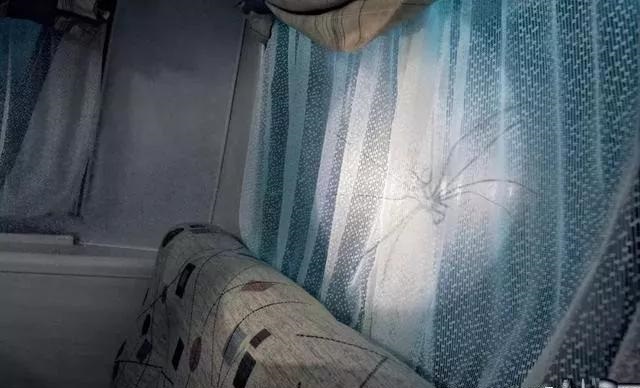 最果的室外標(biāo)識(shí)！創(chuàng)意是靈魂35