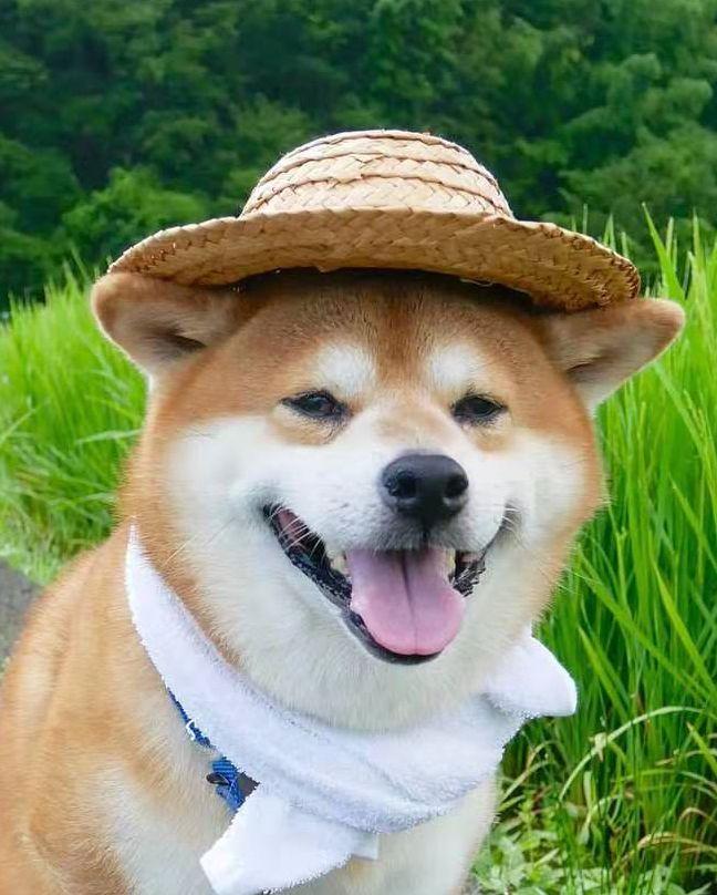 中國(guó)路邊的戶外廣告牌，我能笑一年16