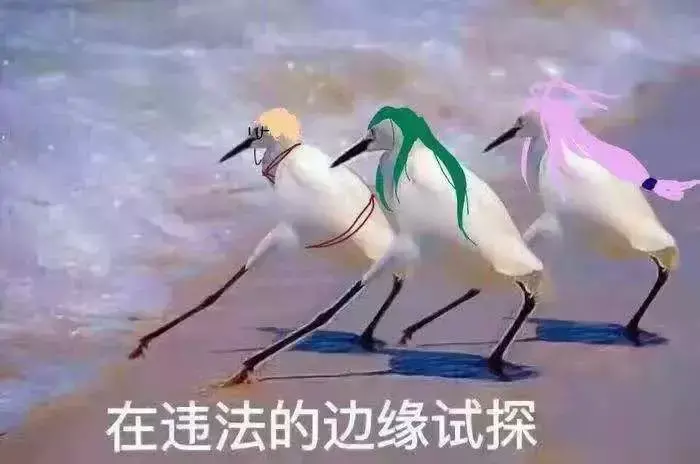 中國(guó)路邊的戶外廣告牌，我能笑一年