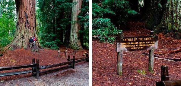 “旅游化”的標(biāo)識(shí)系統(tǒng)，讓LOGO牌成為景區(qū)里的獨(dú)特風(fēng)景11